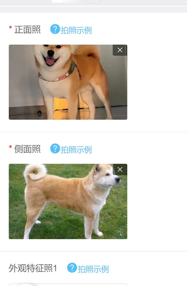 如何辦理初次養(yǎng)犬登記？