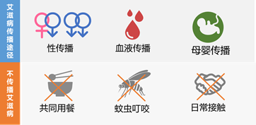 艾滋病傳播途徑示意圖