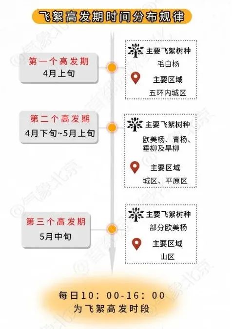 北京疾控提醒您 進(jìn)入楊柳飛絮期 如何科學(xué)防護(hù)？