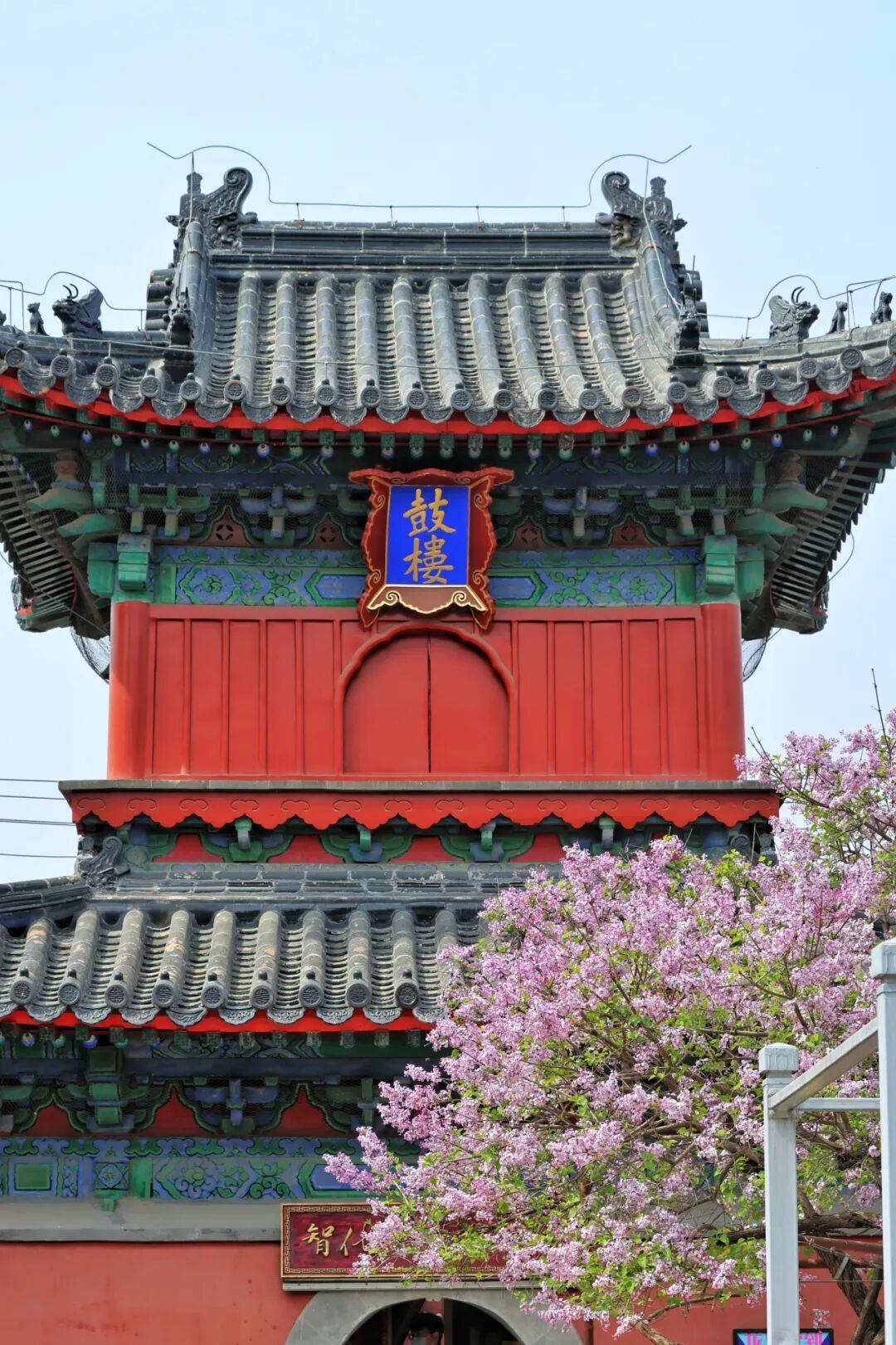 門票每日限量！北京賞梨花“天花板”，記得提前預約——