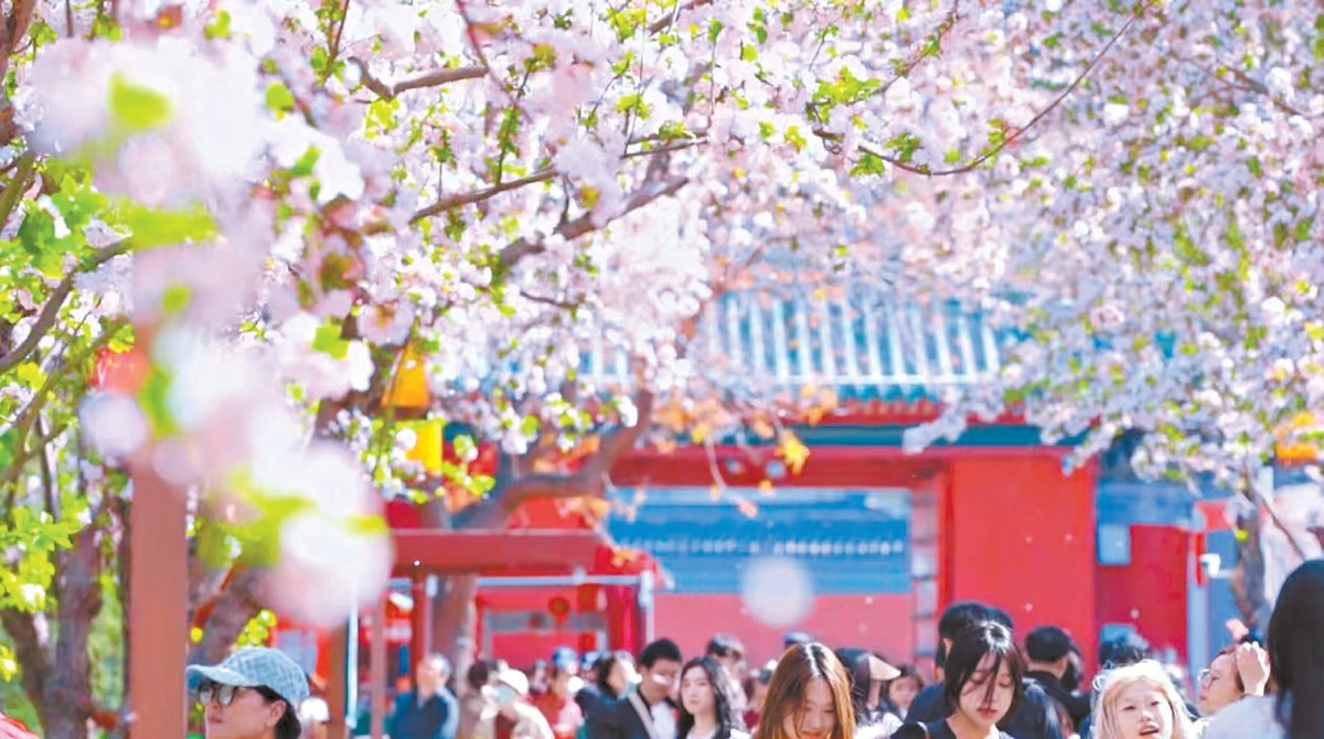 北海公園“海棠路”。