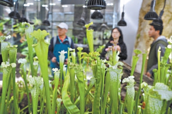 國家植物園低溫溫室升級改造后向公眾開放。