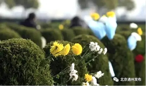 增設(shè)車(chē)位，專(zhuān)線直達(dá)！通州清明祭掃這些道路臨時(shí)管控