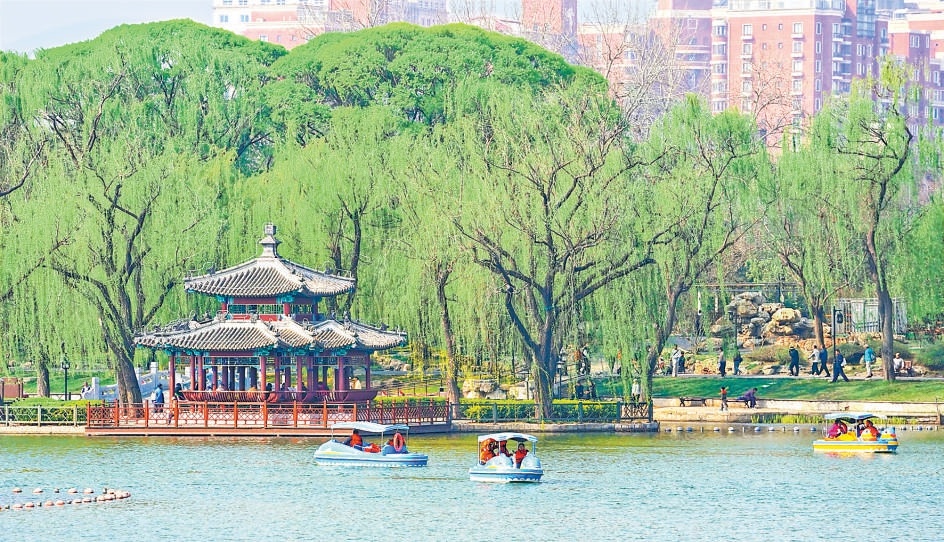 圖為清明假期，市民游客在陶然亭公園乘坐腳踏船，泛舟賞景，盡享春日閑暇。