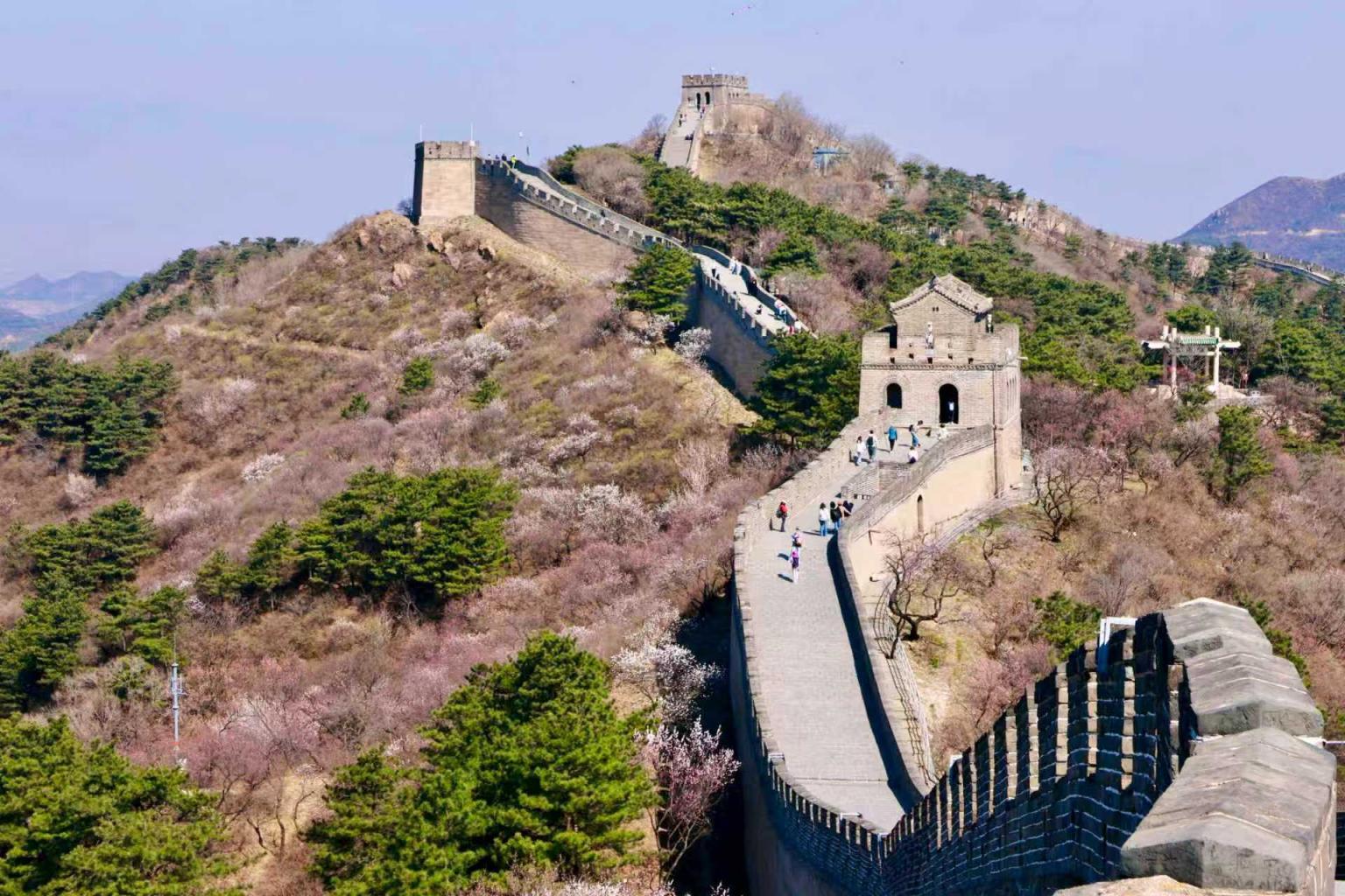 八達(dá)嶺山花爛漫！南四樓至南七樓正值最佳觀賞期