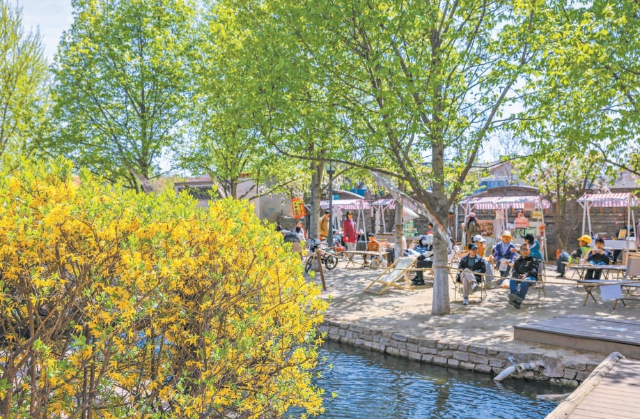 臨水的咖啡館旁花開(kāi)得熱鬧，花團(tuán)錦簇，也帶火了咖啡館的生意。