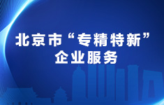北京市“專精特新”企業(yè)服務(wù)