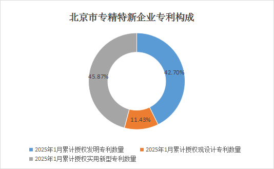 北京市專精特新企業(yè)月度發(fā)展報告（2025年1月）