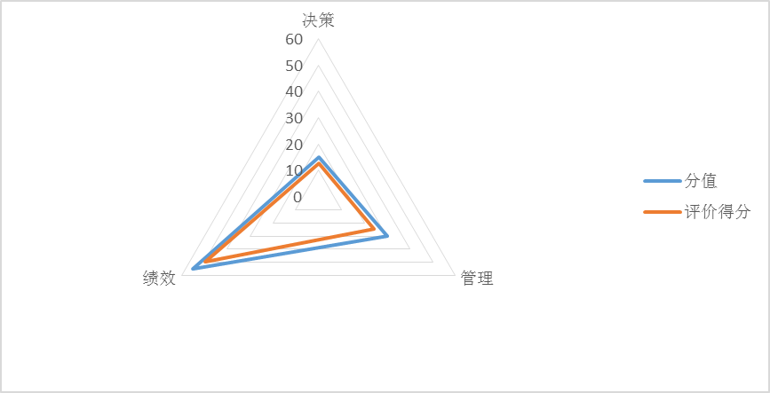 圖1：項目績效評價得分情況