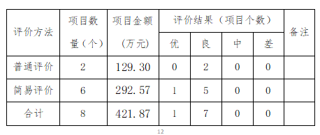 自評(píng)項(xiàng)目統(tǒng)計(jì)表