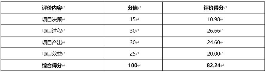 網(wǎng)絡(luò)運維服務(wù)支出績效評價結(jié)論表