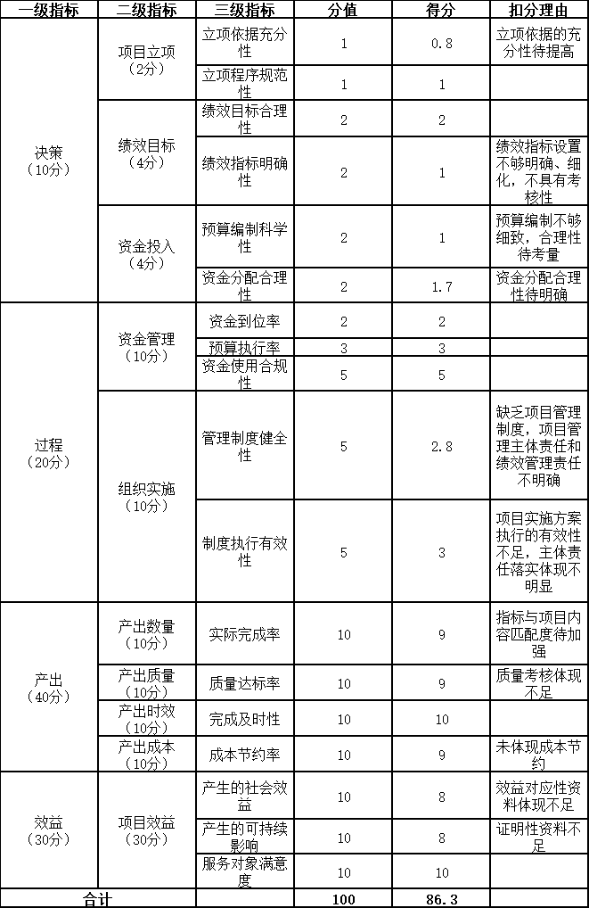 項目支出指標(biāo)體系及評分情況表
