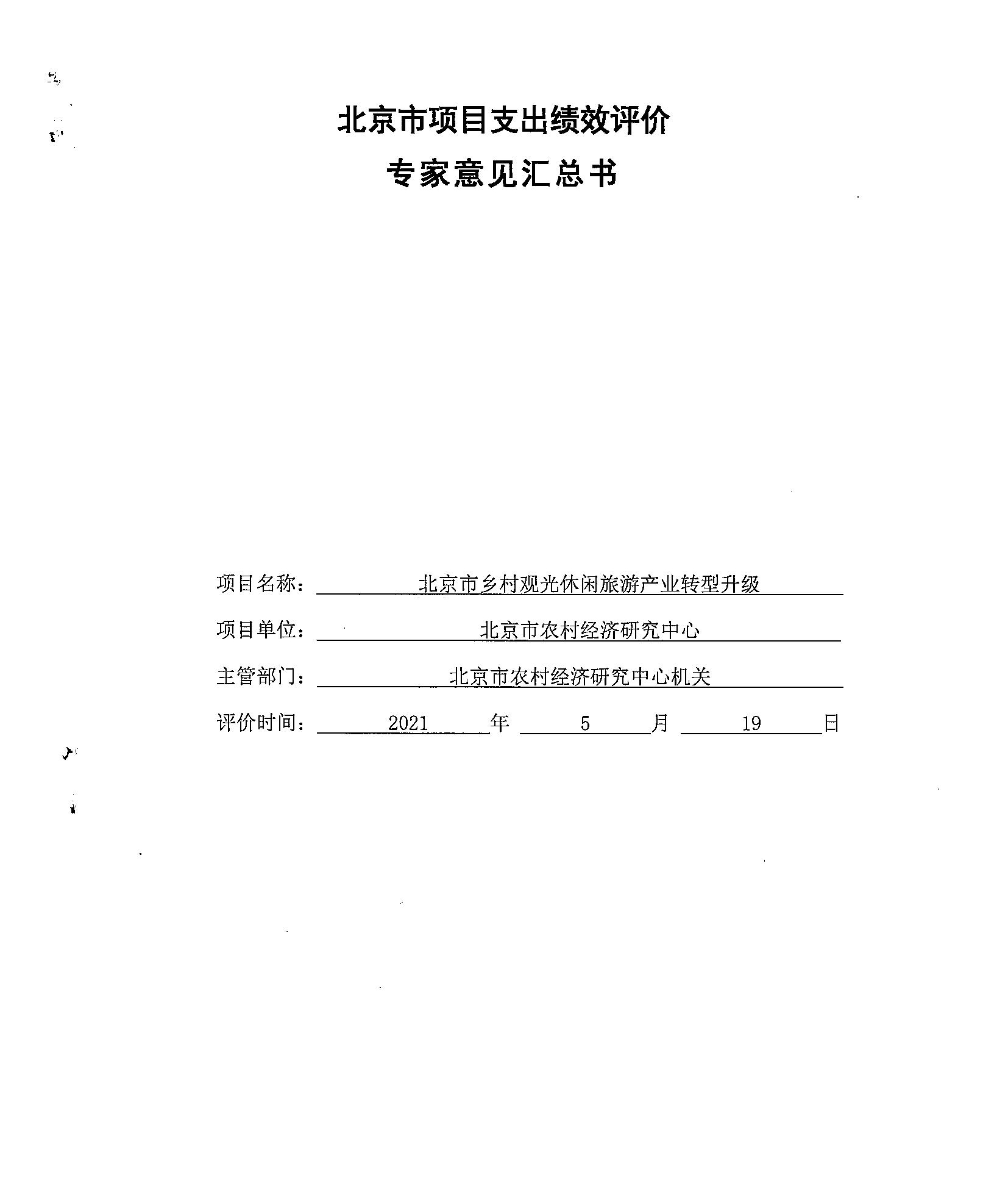 專家意見(jiàn)匯總書