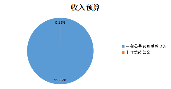 收入預(yù)算