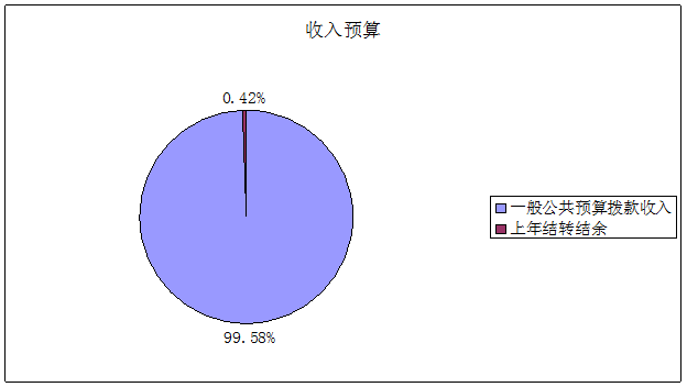 收入預(yù)算