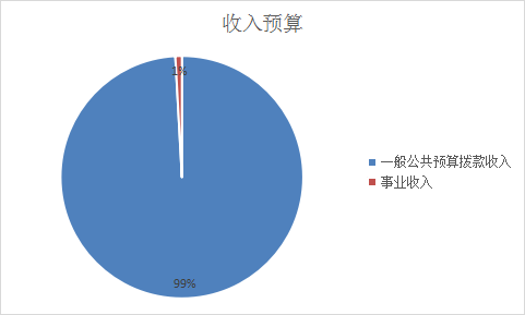 收入預(yù)算