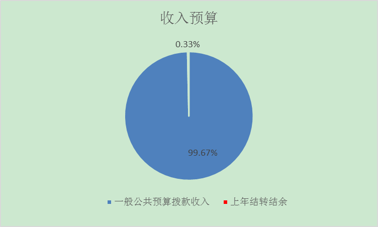 收入預(yù)算