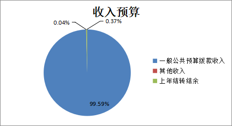 收入預(yù)算