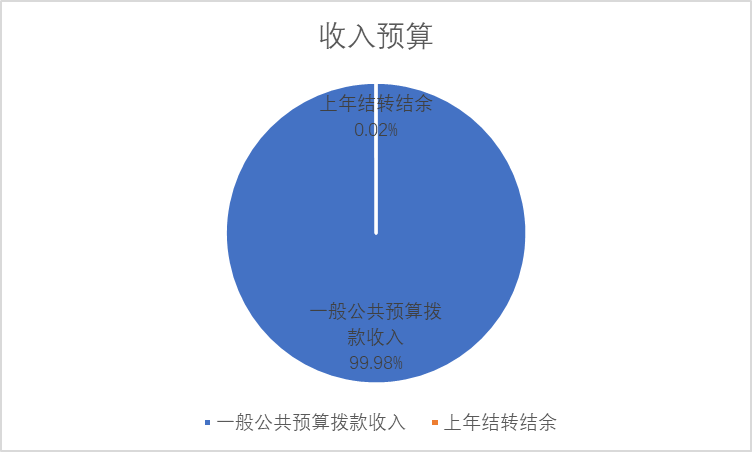 收入預(yù)算