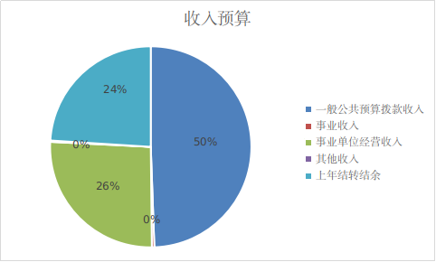 收入預(yù)算