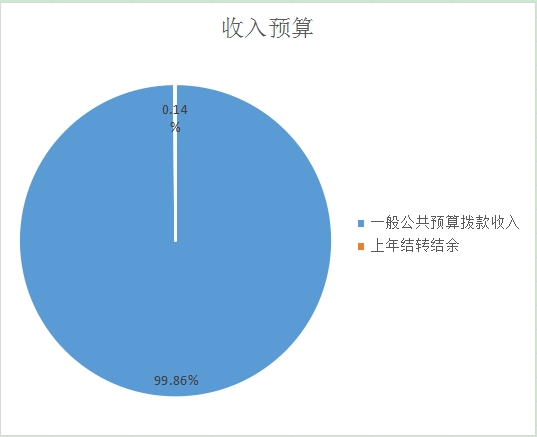 收入預(yù)算