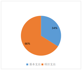 基本支出和項(xiàng)目支出情況