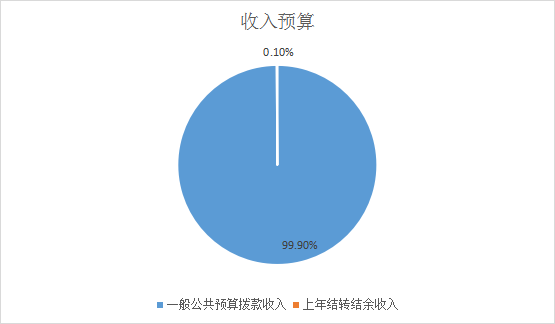 收入預(yù)算