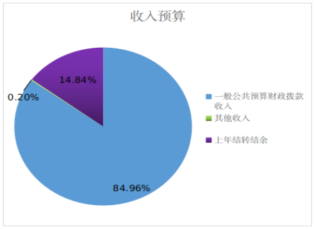 圖1：收入預(yù)算