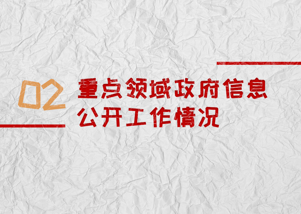 重點領(lǐng)域政府信息公開工作情況