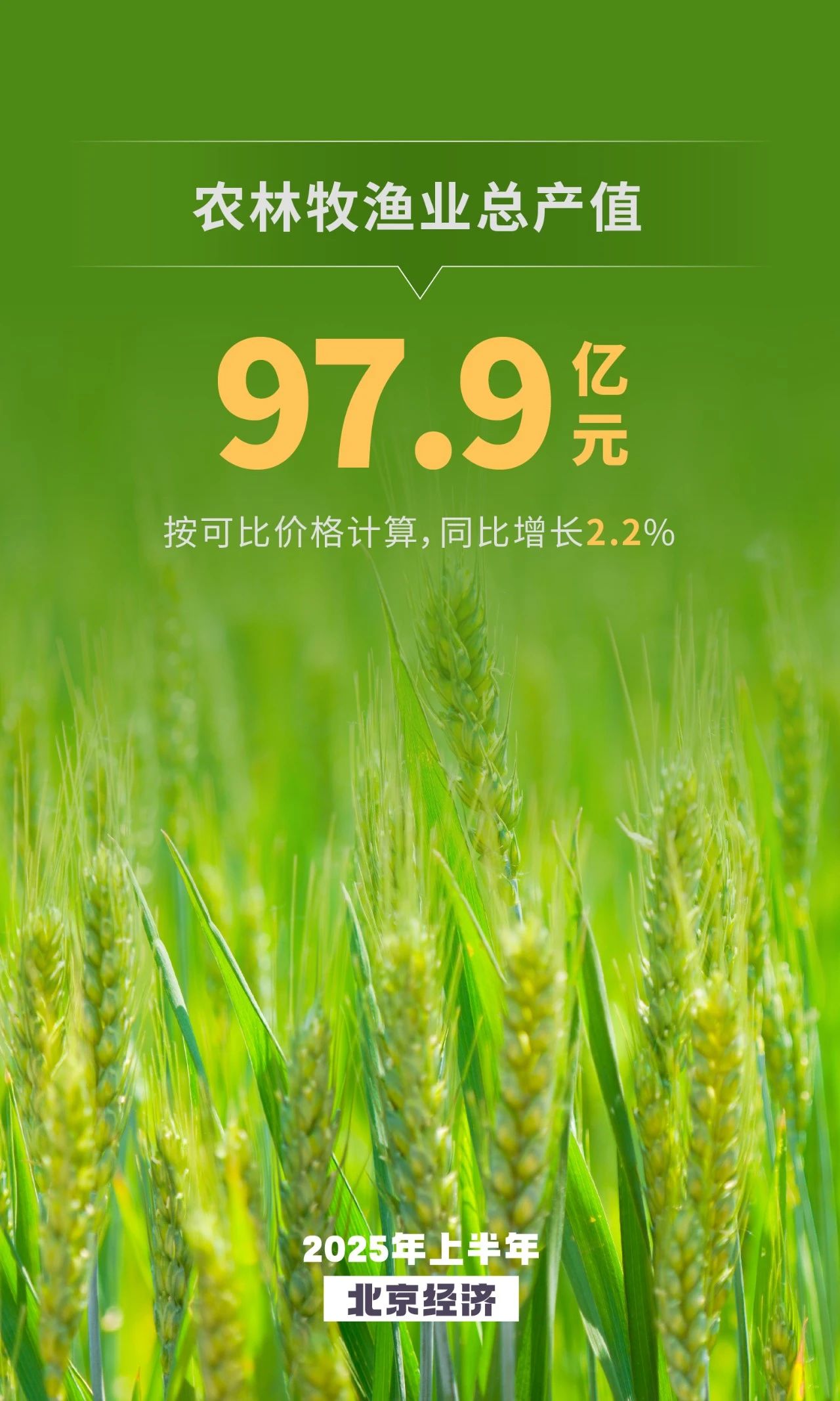 農(nóng)業(yè)生產(chǎn)保持增長 鄉(xiāng)村旅游升溫向好