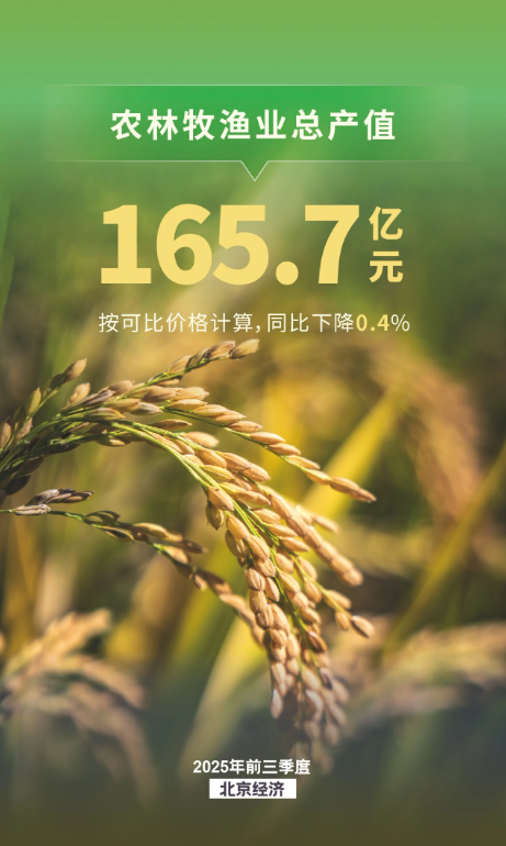 農(nóng)業(yè)生產(chǎn)保持穩(wěn)定，種業(yè)收入兩位數(shù)增長