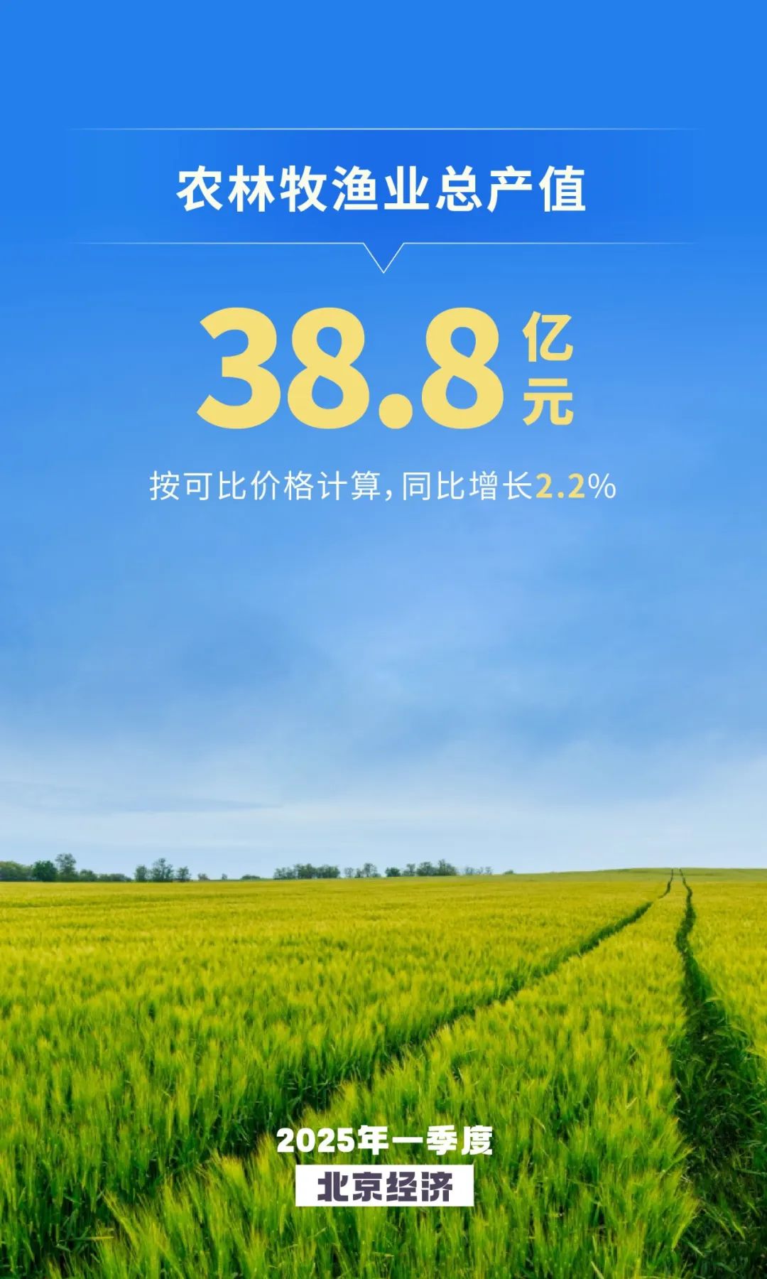 農(nóng)業(yè)生產(chǎn)規(guī)模繼續(xù)擴(kuò)大 種植業(yè)、牧業(yè)穩(wěn)步增長(zhǎng)