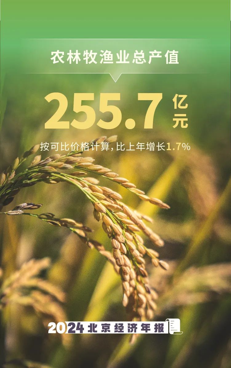 數(shù)覽2024年北京經(jīng)濟(jì)年報(bào)