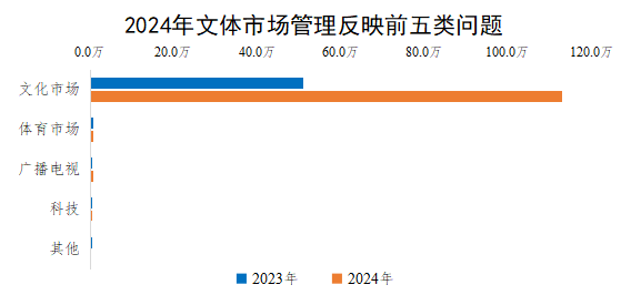 2024年文體市場管理反映前五類問題