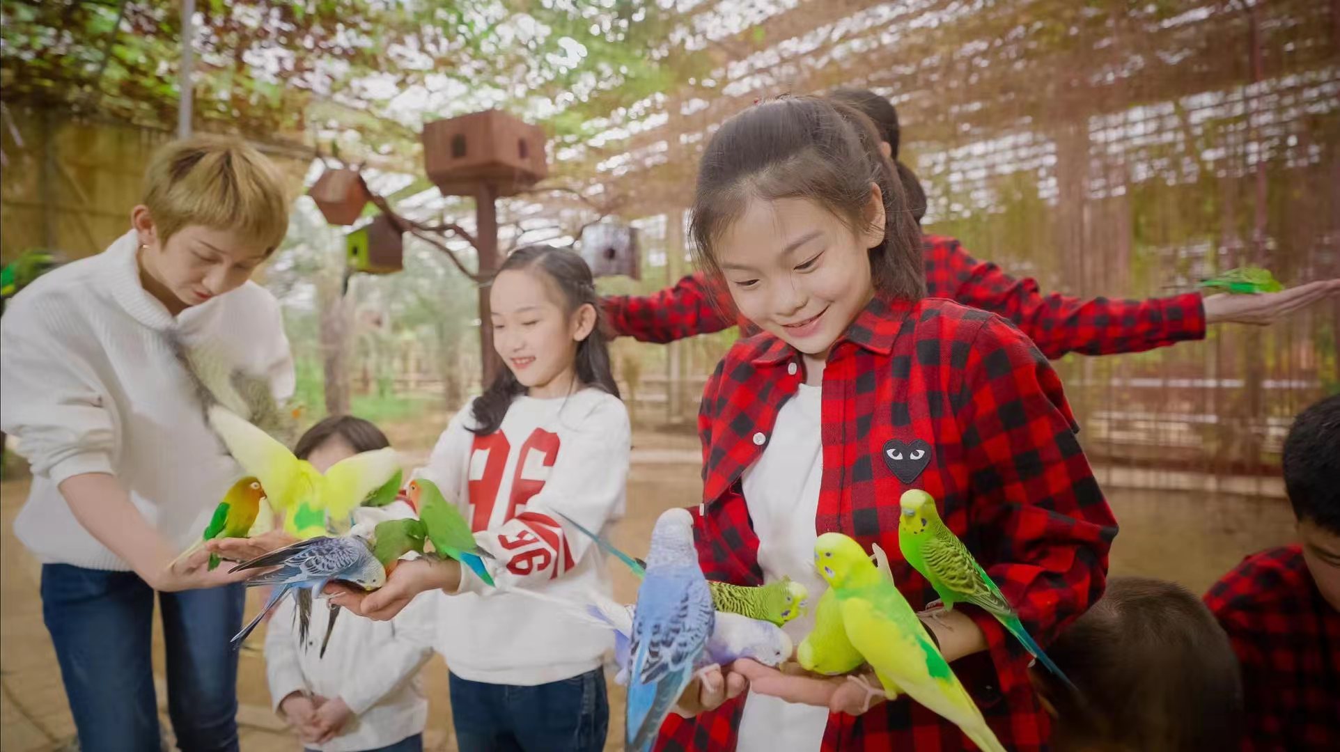 大興呀路古熱帶植物園