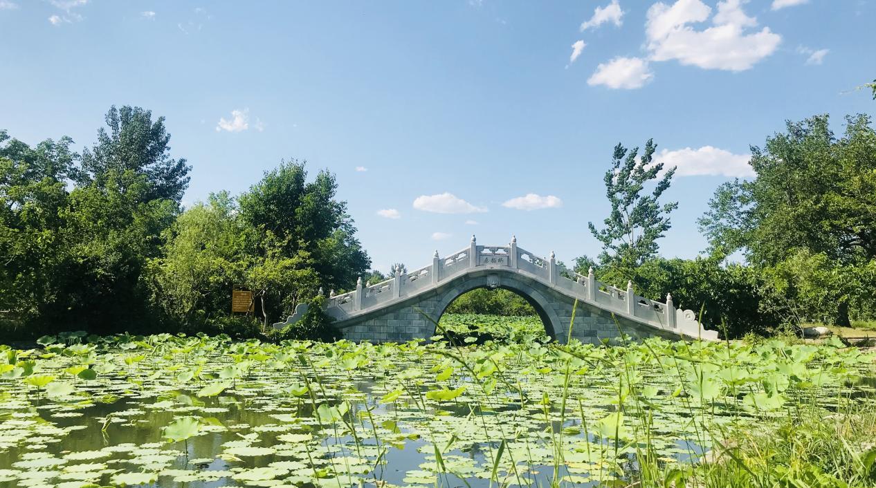 大興御林古大桑園