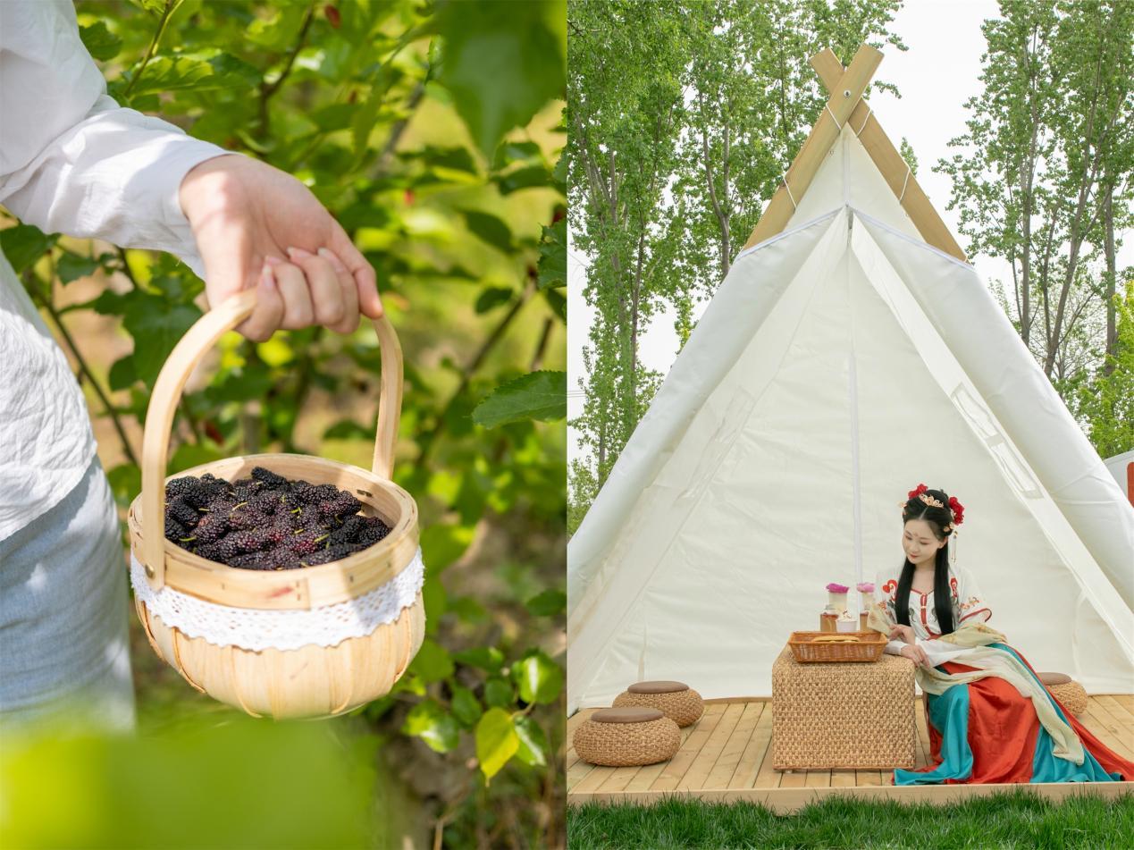 大興御林古大桑園