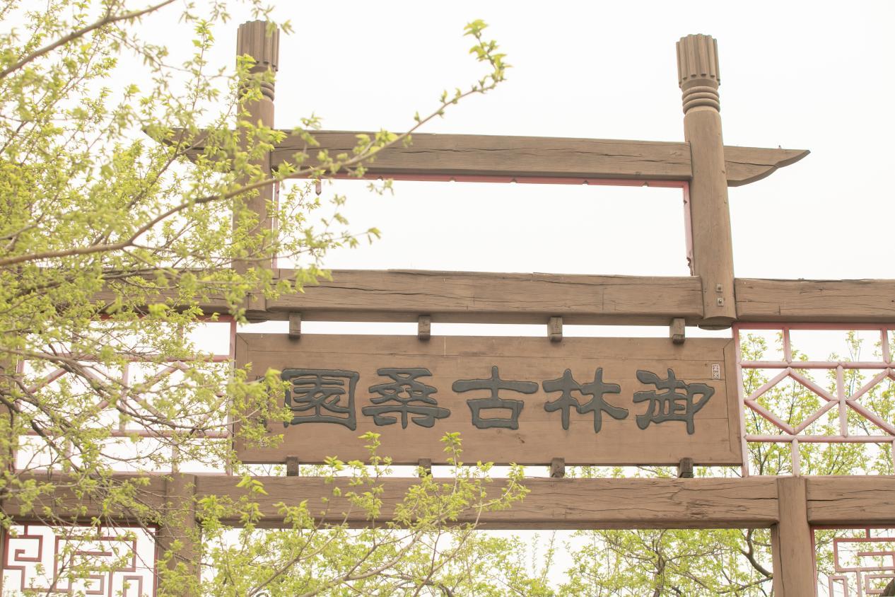 大興御林古大桑園