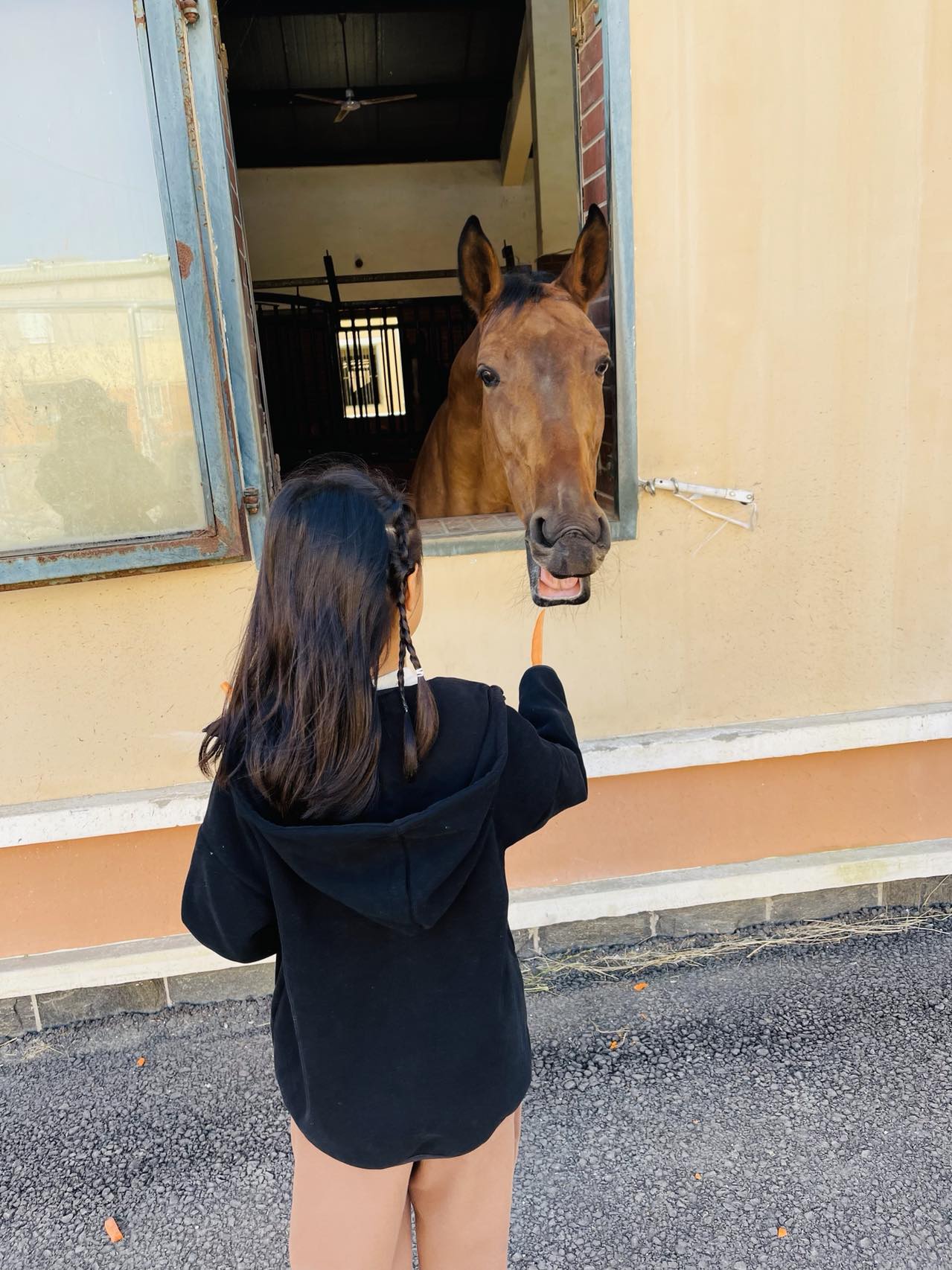 上林馬術(shù)中央公園