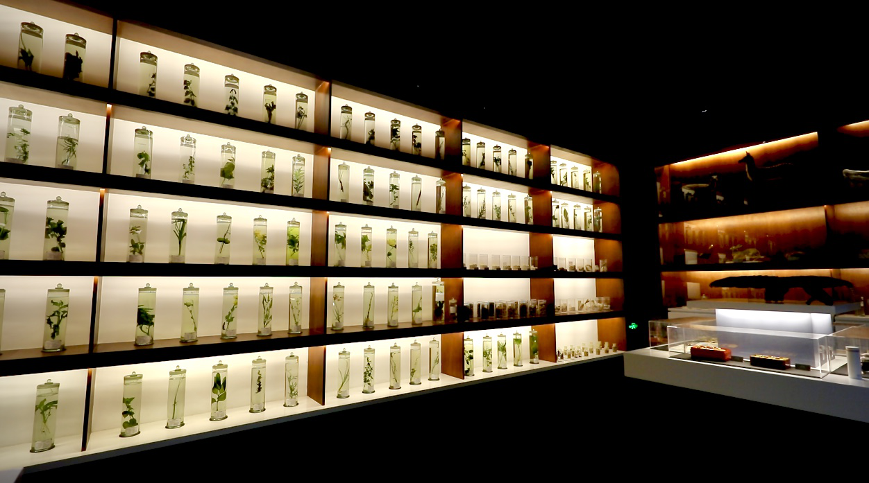 北京中藥炮制技術(shù)博物館