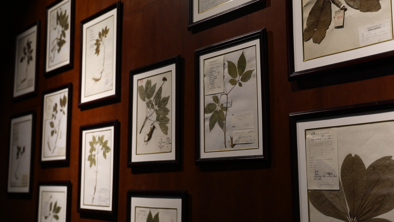 北京中藥炮制技術(shù)博物館