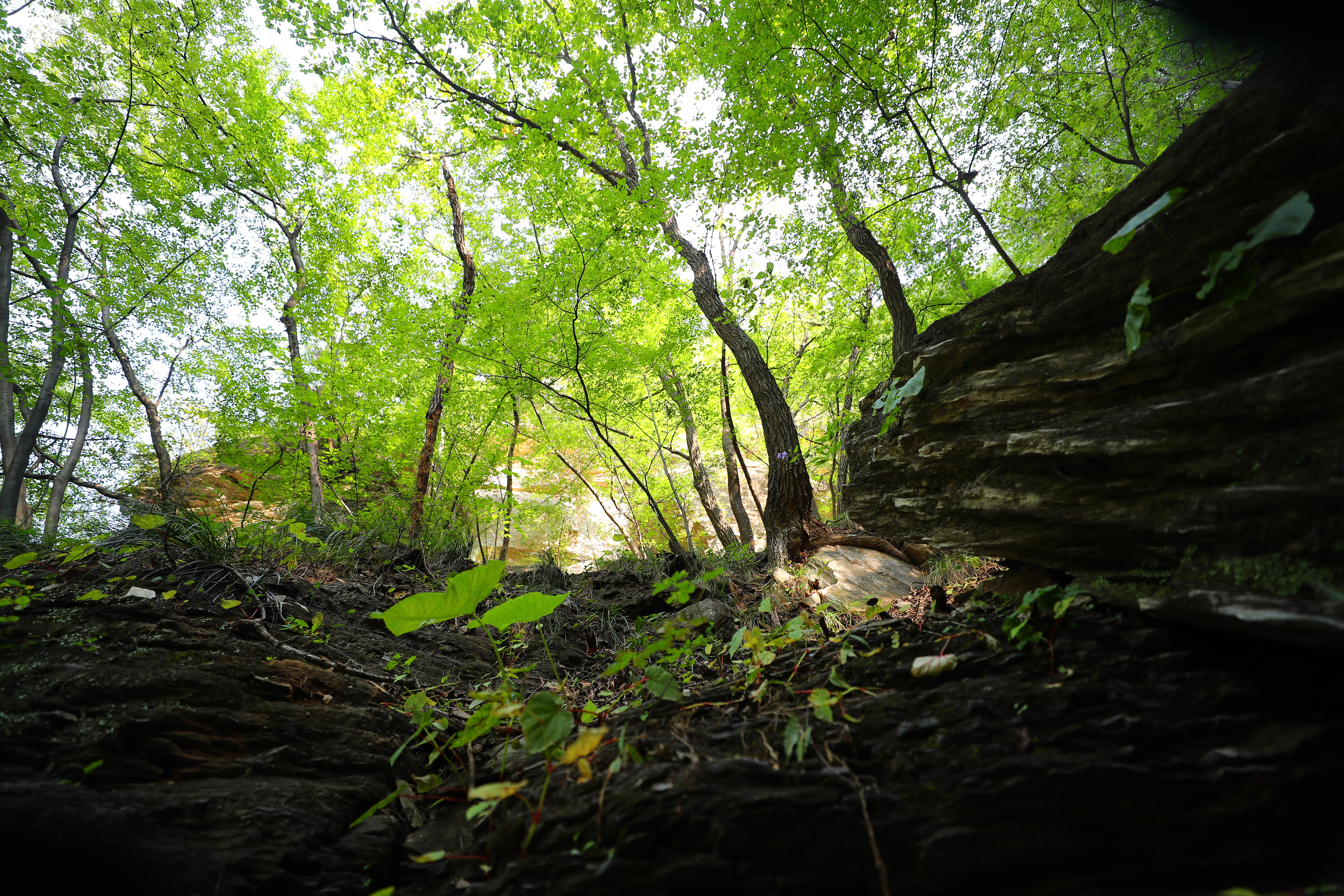 上方山國家森林公園