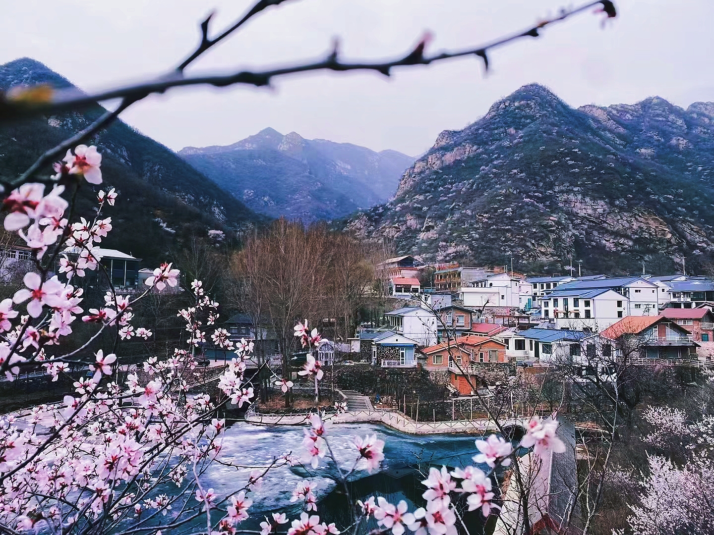 清水鎮(zhèn)美麗鄉(xiāng)村