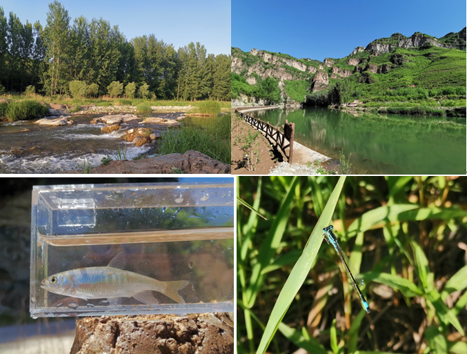 【紅色旅游線路】北莊追憶革命道路 紅色鄉(xiāng)村文化游