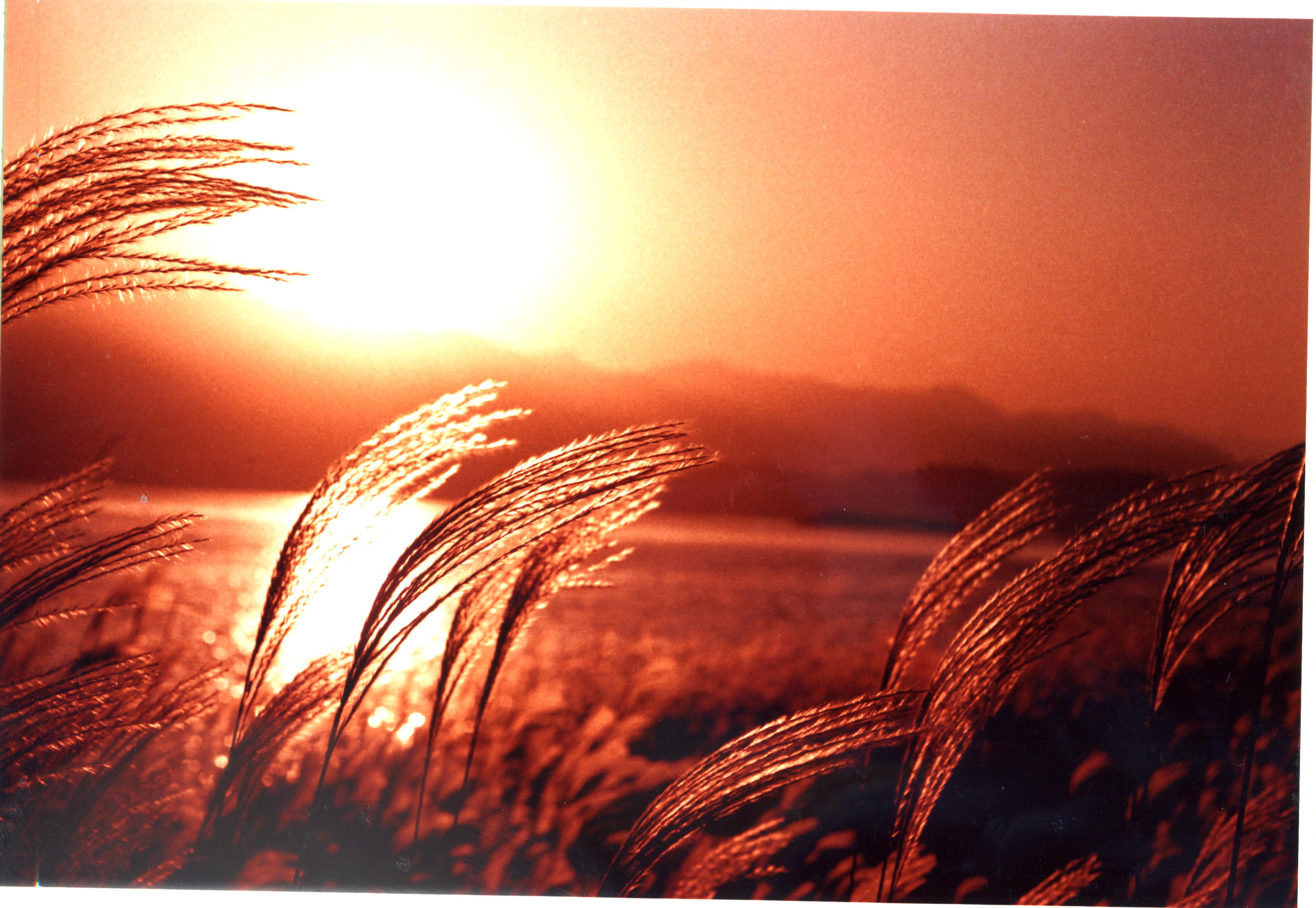 水庫(kù)風(fēng)光