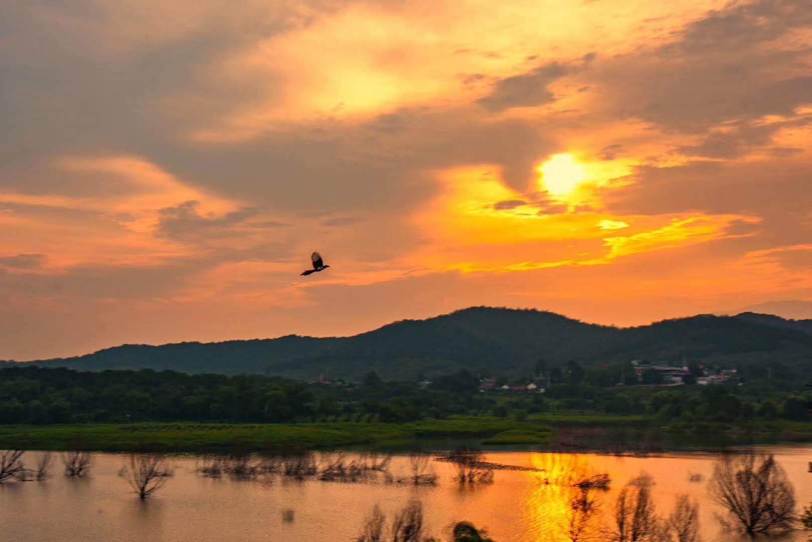 水庫(kù)風(fēng)光