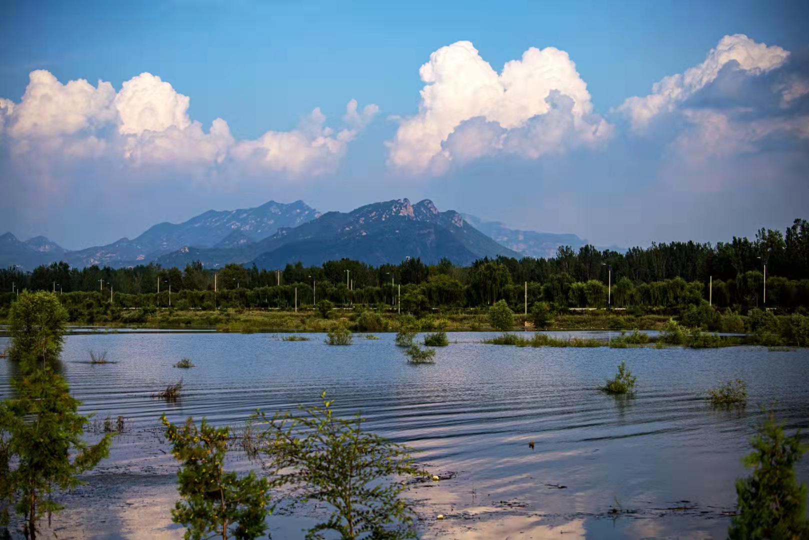清水河畔風(fēng)景美