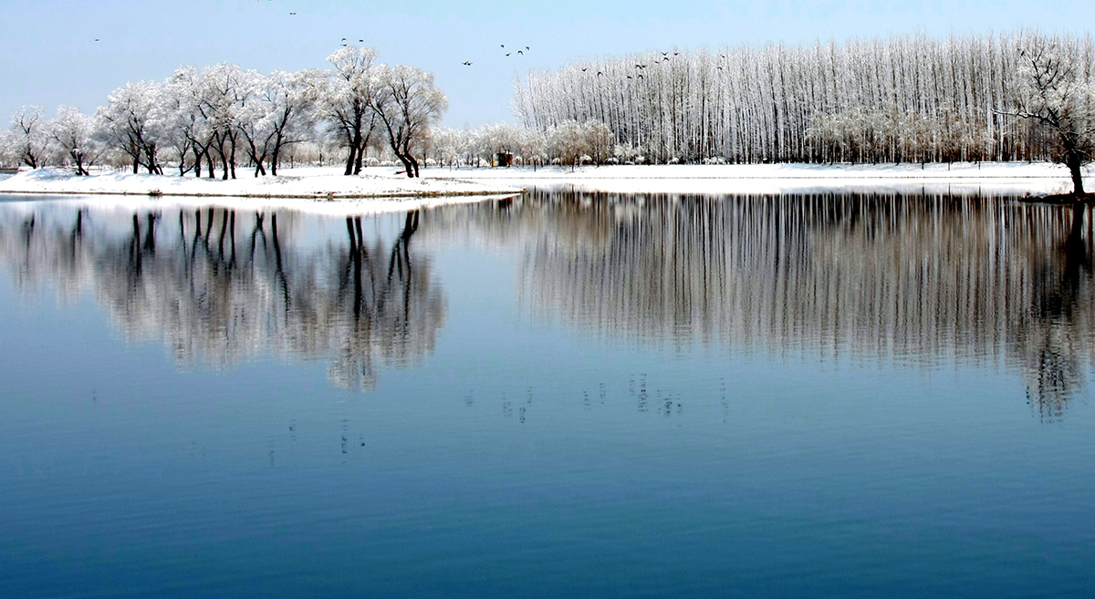 運(yùn)河風(fēng)情