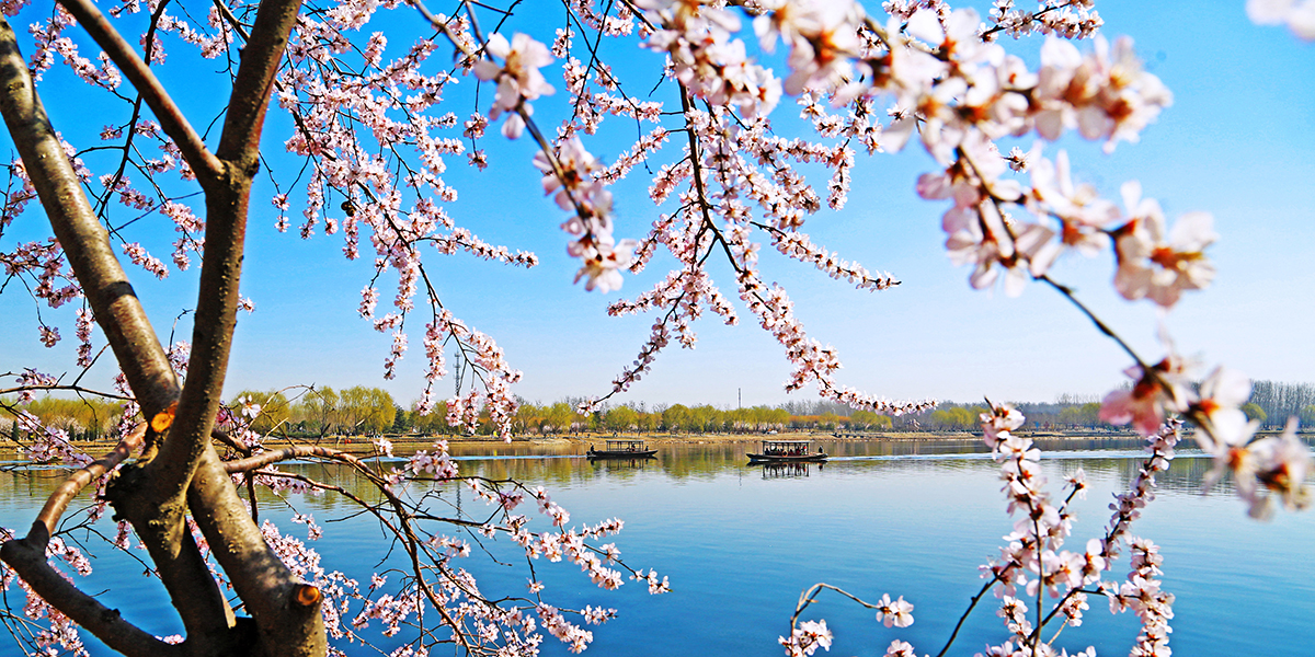 運(yùn)河風(fēng)情