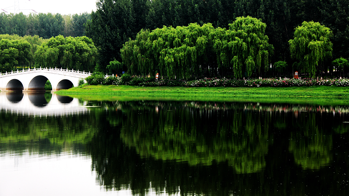 運(yùn)河風(fēng)情